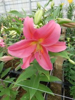 [5631 VH61 No02.JPG]